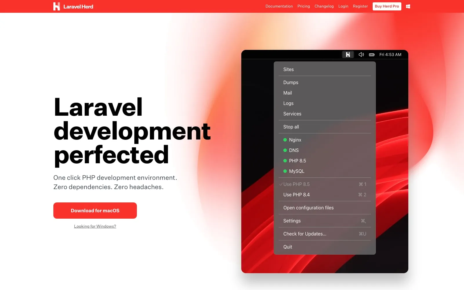 Screenshot of Laravel Herd